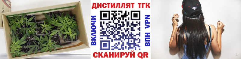 ТГК Wax  Зарайск 